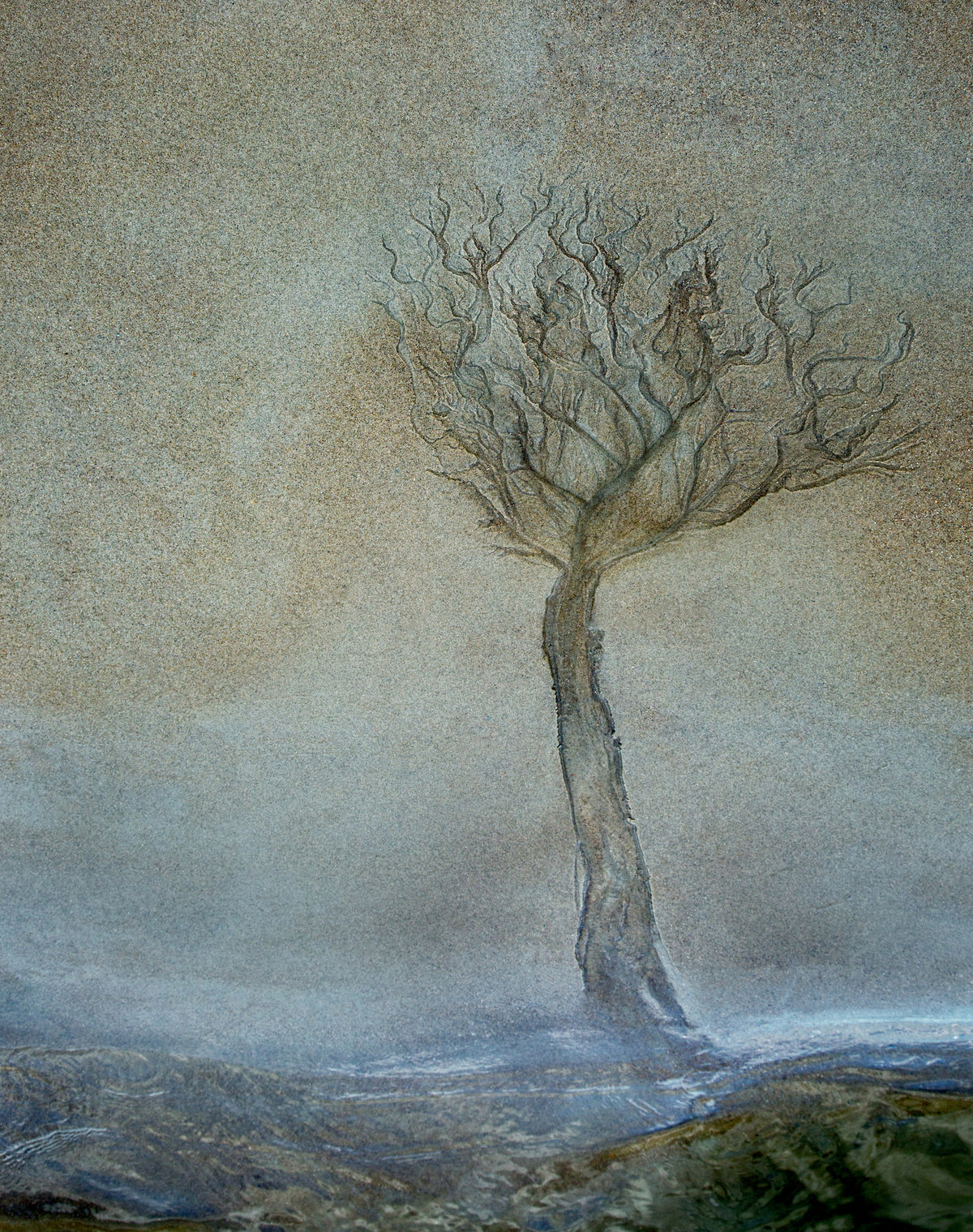 framedposter-print-lonely-tree-2