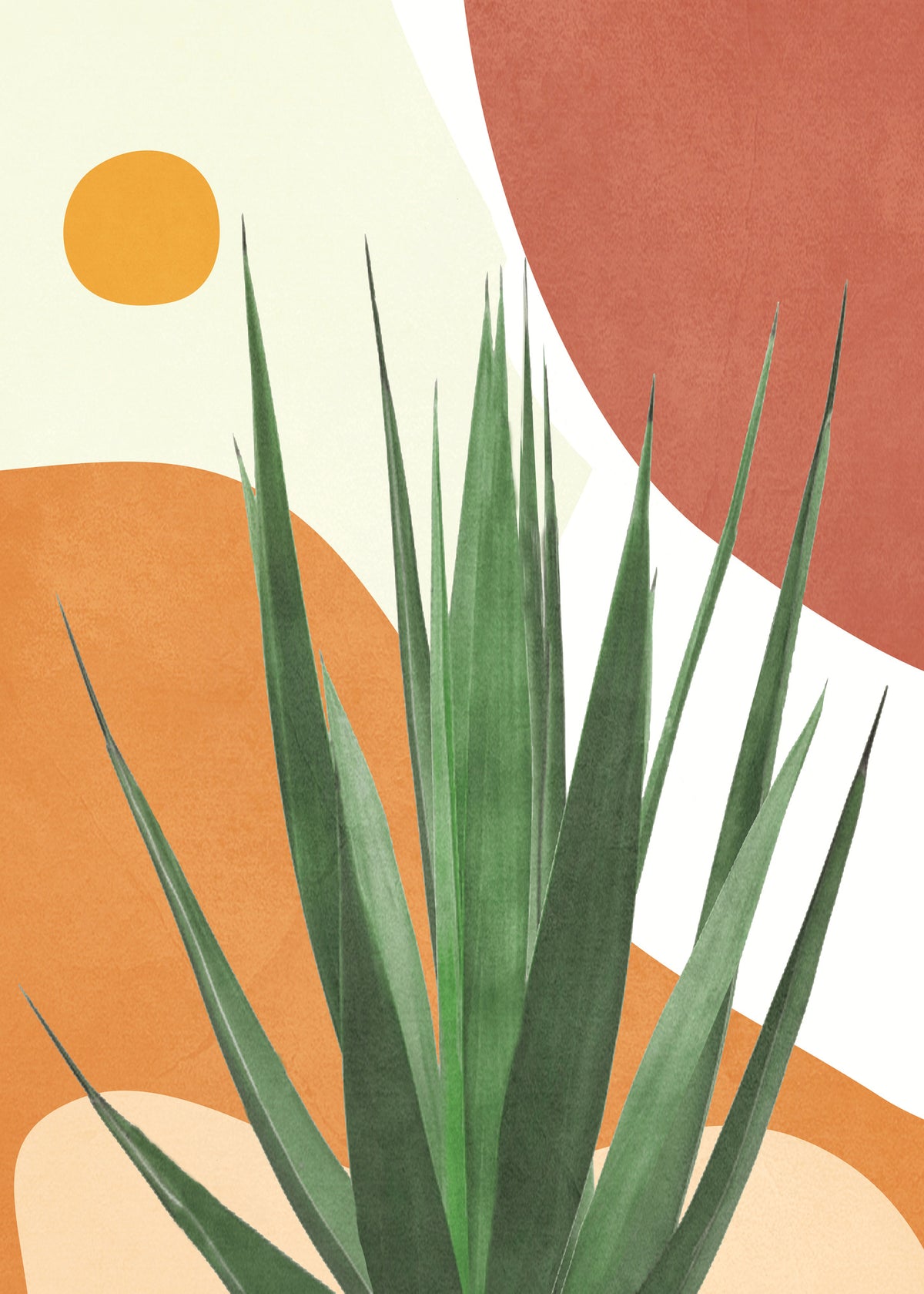 canvas-print-abstract-agave-plant