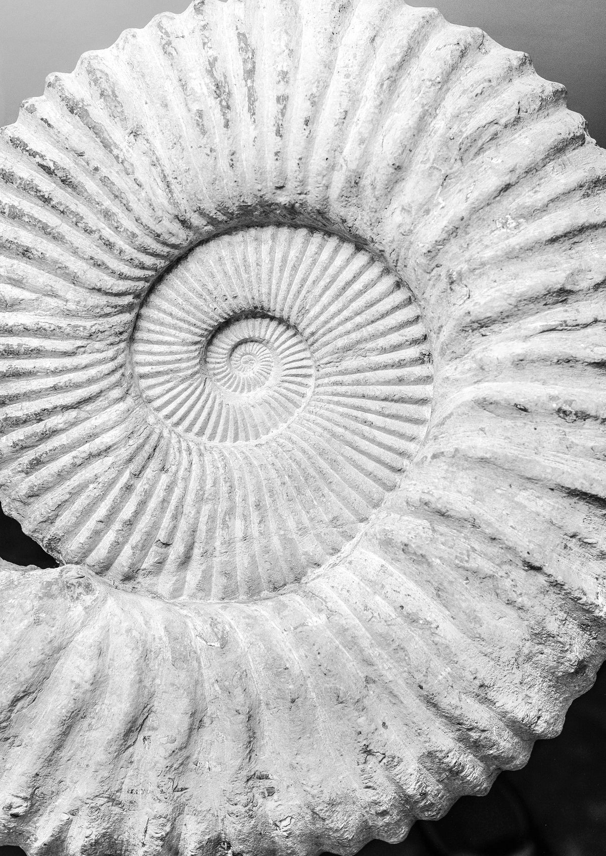 canvas-print-ancient-spiral-dreams