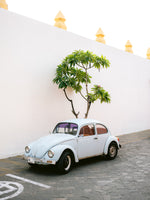 aluminium-print-pastel-volskwagen-beetle-in-the-streets-of-oaxaca-mexico