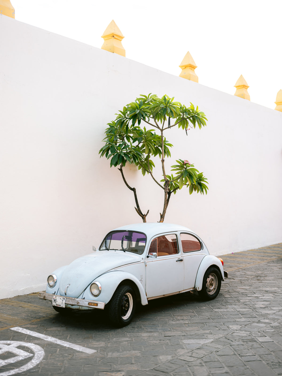 aluminium-print-pastel-volskwagen-beetle-in-the-streets-of-oaxaca-mexico