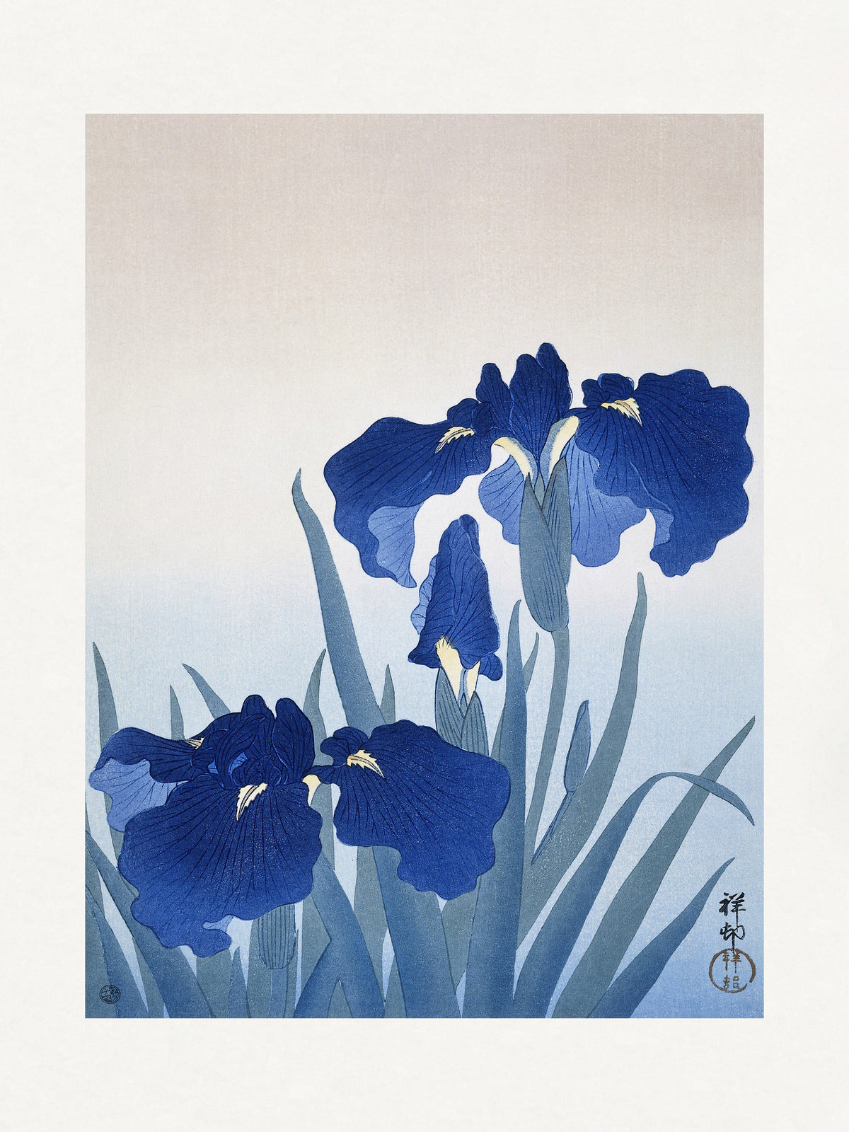 canvas-print-iris-flowers