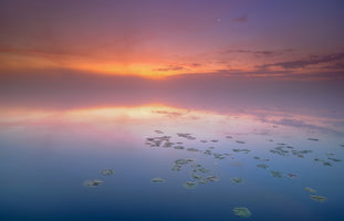 framedposter-print-silence-in-color