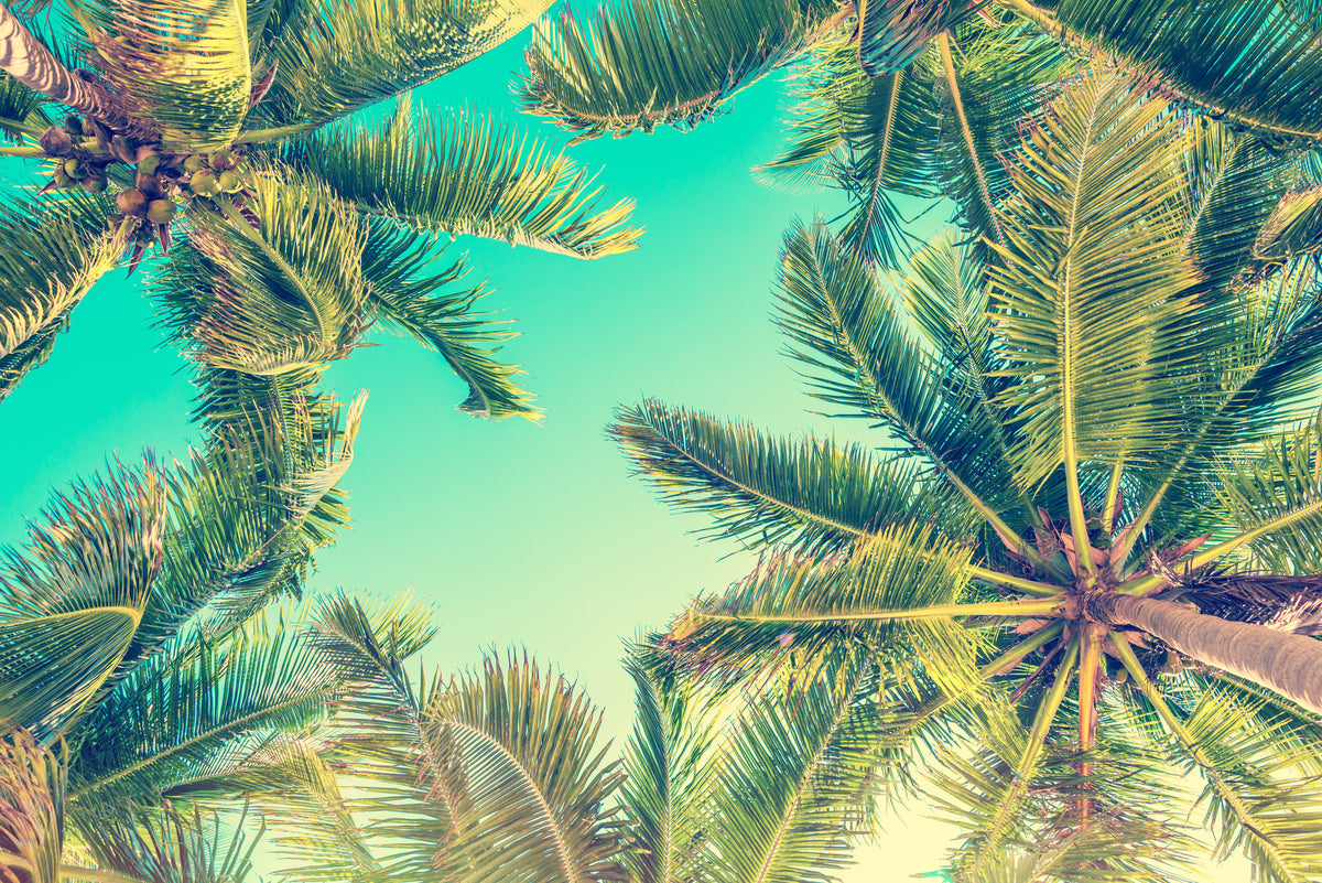 modern-3-piece-canvas-print-palm-trees-in-paradise