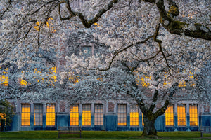 canvas-print-morning-at-university-of-washington-x