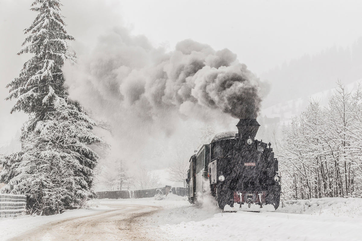 poster-print-winter-story-x
