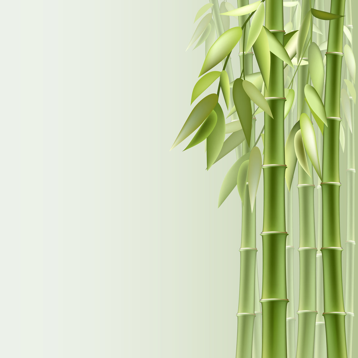 4-piece-acrylic-print-green-bamboo