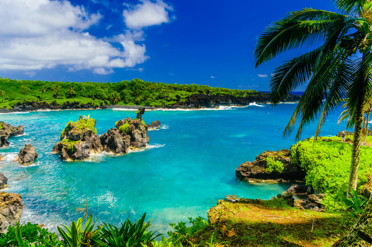 poster-print-calm-pacific-tropical-dream