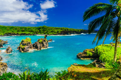 poster-print-calm-pacific-tropical-dream
