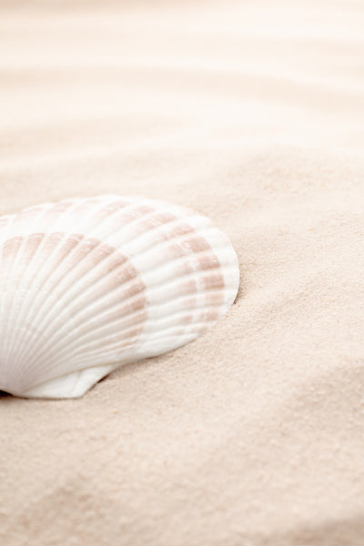 poster-print-shell-3
