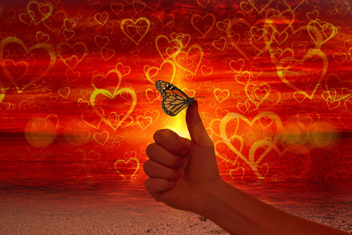 3-piece-canvas-print-the-butterfly-and-the-love