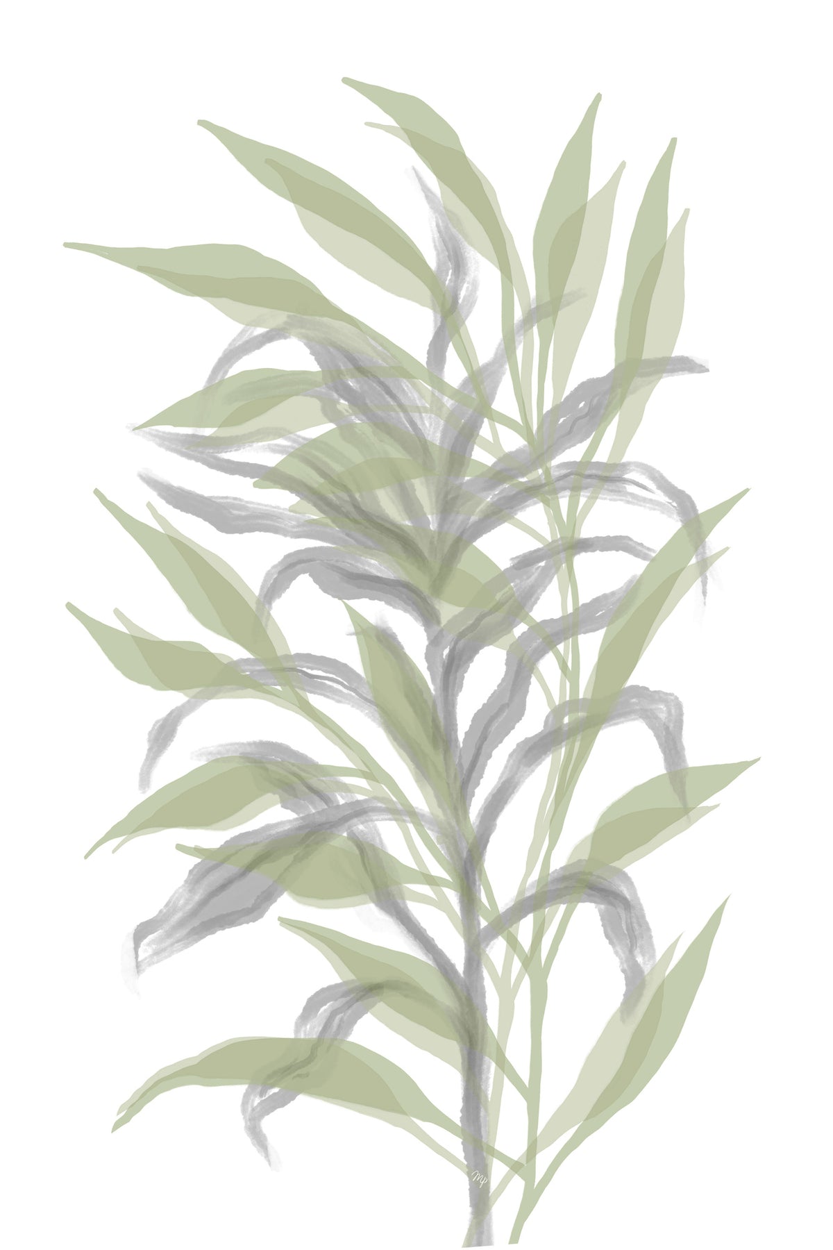 framedposter-print-silent-bamboo-leaf