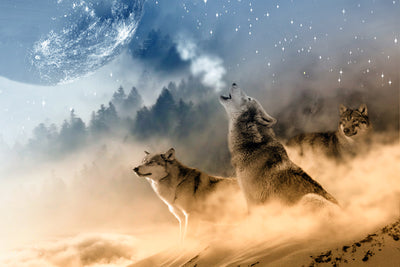 poster-print-the-world-of-wolves