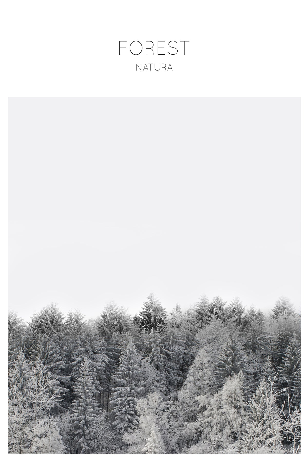canvas-print-frosted-tranquility