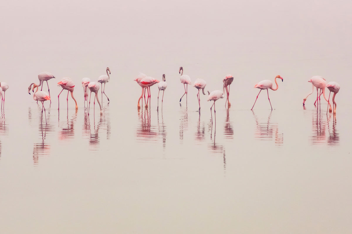 aluminium-print-water-ballet-x