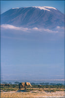aluminium-print-kilimanjaro-and-the-quiet-sentinels