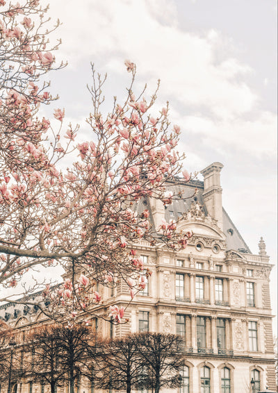 poster-print-magnoliaparis