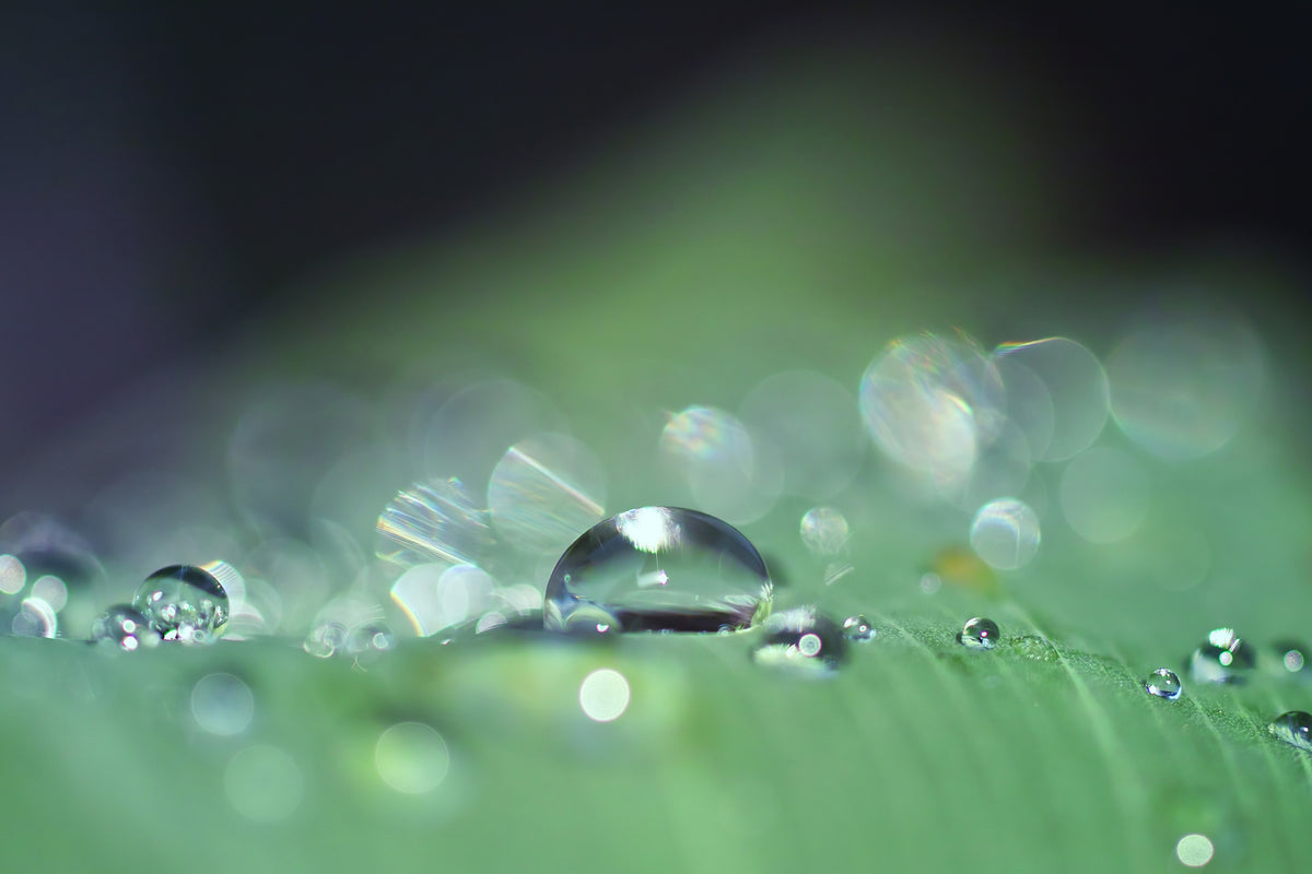 framedposter-print-drops-of-water-in-xxl