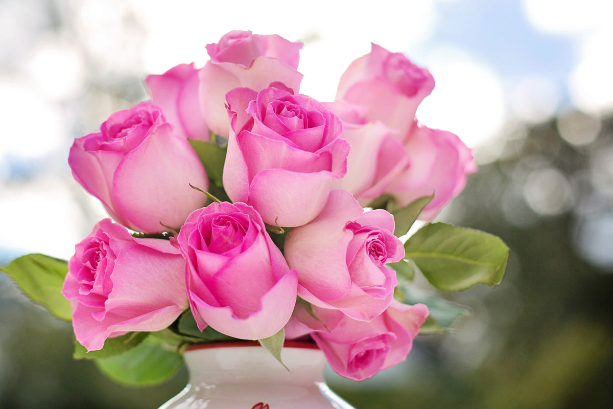 framedposter-print-bouquet-of-roses-in-pink