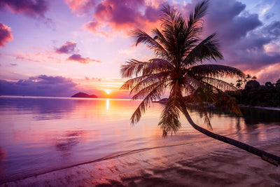 poster-print-sunset-on-the-beach