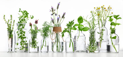 aluminium-print-bottle-of-essential-oil-with-herbs