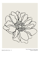 acrylic-print-botanicalineno31