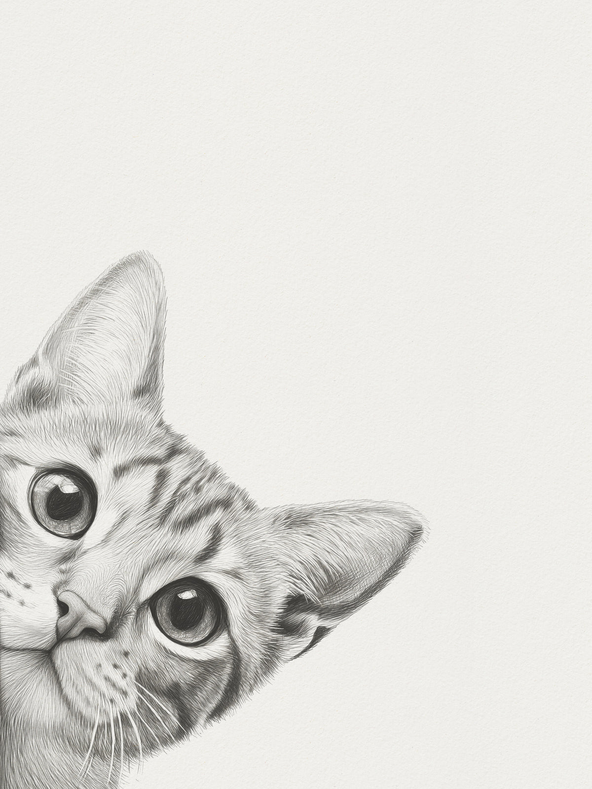 canvas-print-curious-cat