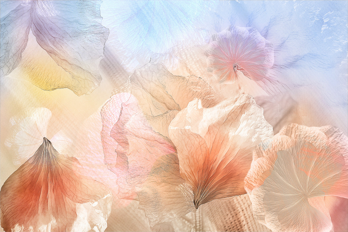 framedcanvas-print-ethereal-flowers-x