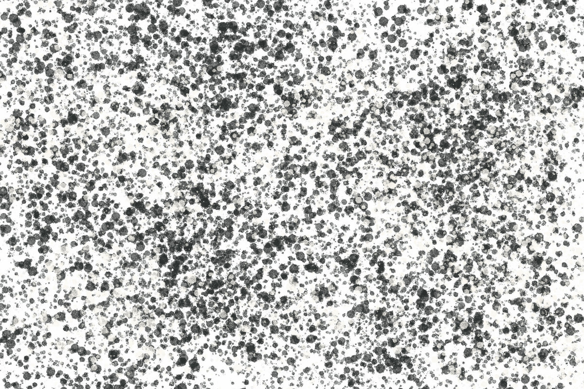 canvas-print-monochrome-speckles