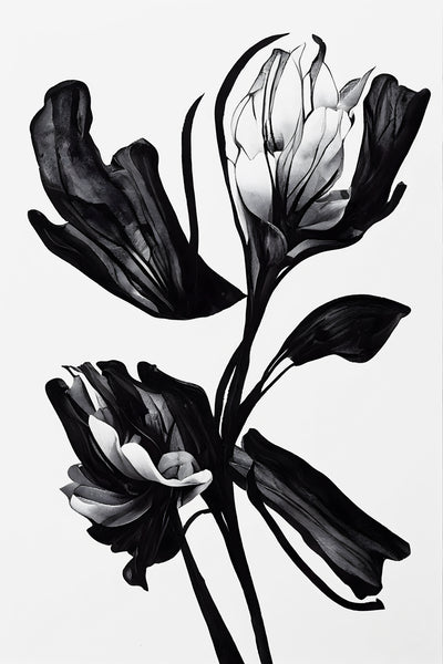 poster-print-black-flower