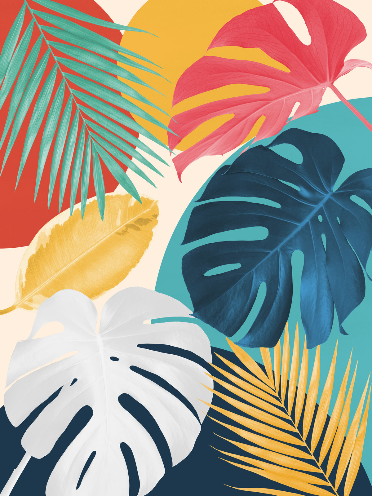 aluminium-print-floral-collage-3
