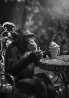 acrylic-print-chimps-ice-cream-break