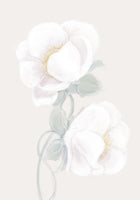 framedposter-print-lush-peony