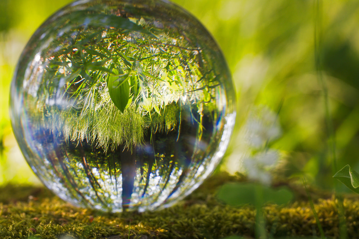 aluminium-print-nature-ball