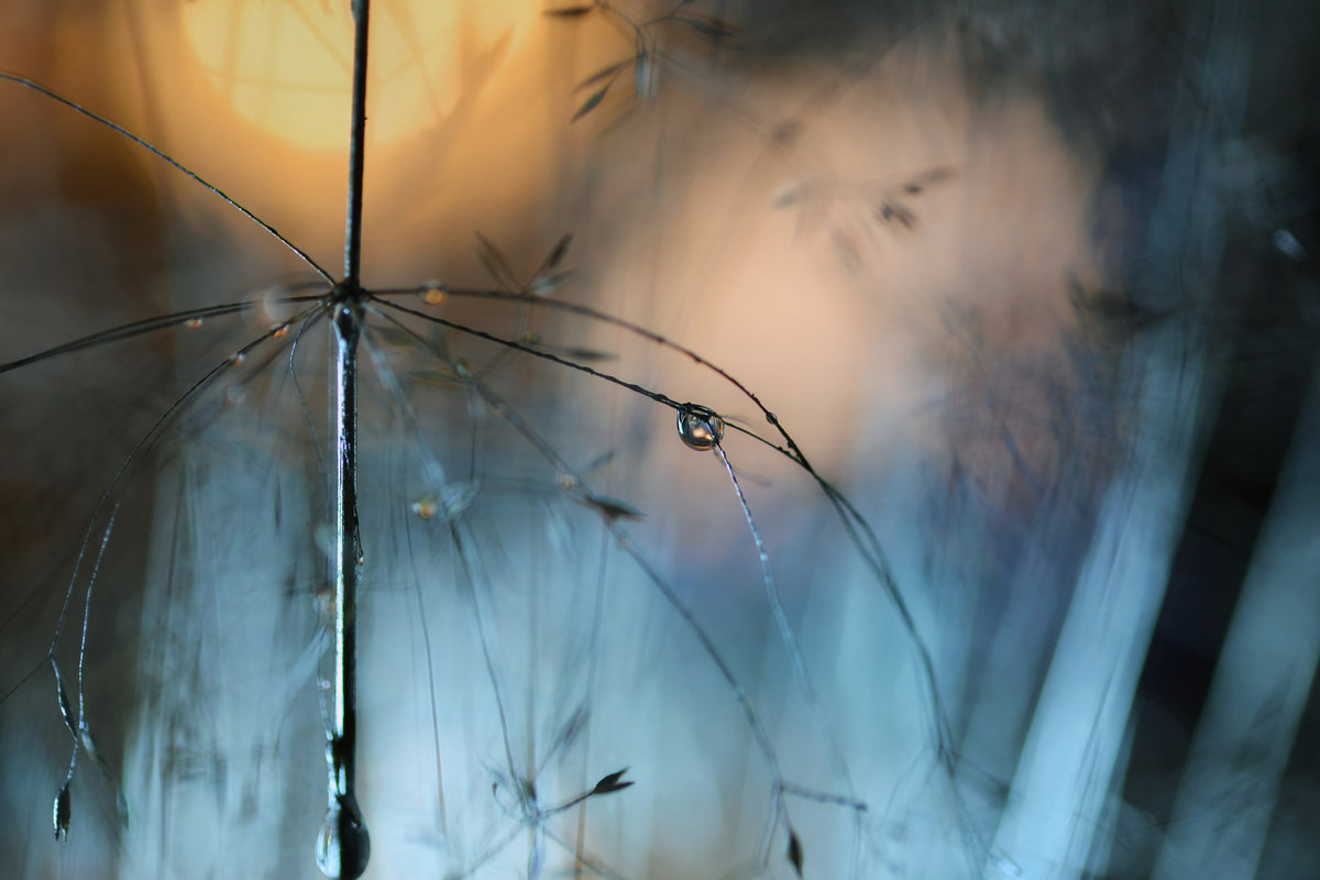 acrylic-print-almost-dark