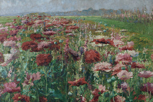 poster-print-oil-flowers-field