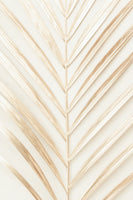 poster-print-golden-palm-leaf