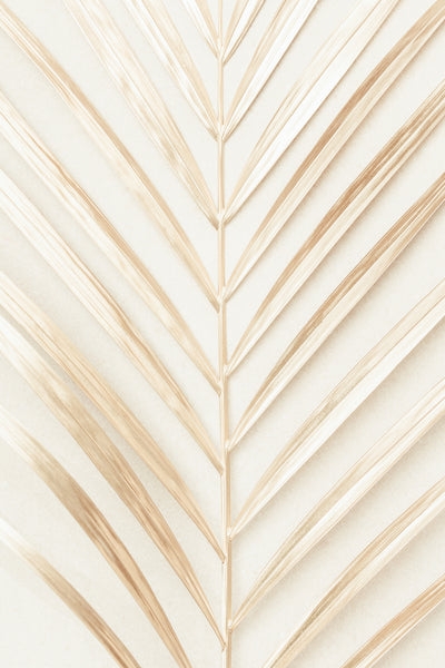 poster-print-golden-palm-leaf