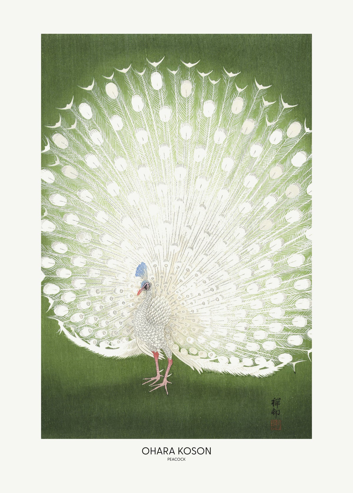 framedcanvas-print-peacock-cropped