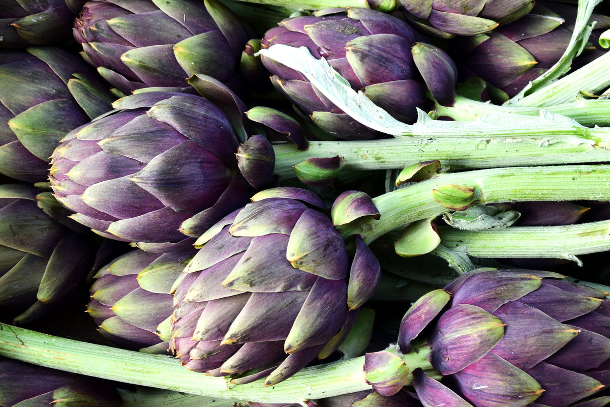 aluminium-print-fresh-artichokes