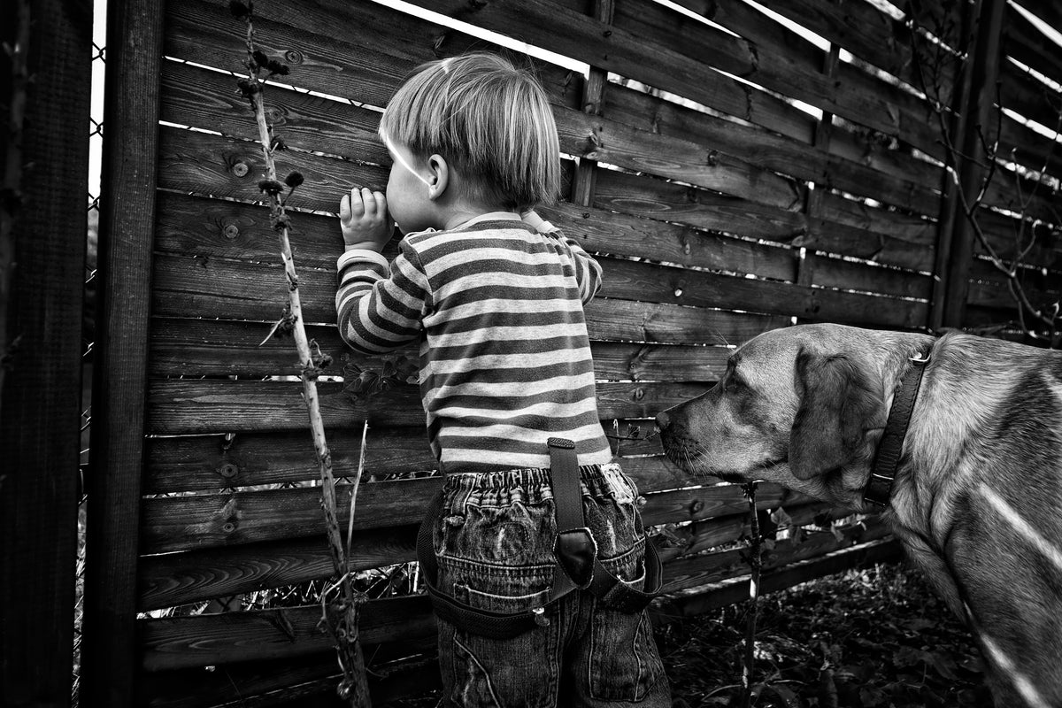 framedcanvas-print-the-world-from-behind-the-fence-x