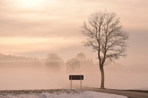 framedcanvas-print-mystic-mood-in-nature