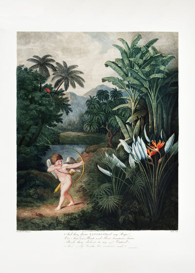 poster-print-cupid-inspiring-plants-with-love-from-the-temple-of-flora-1807