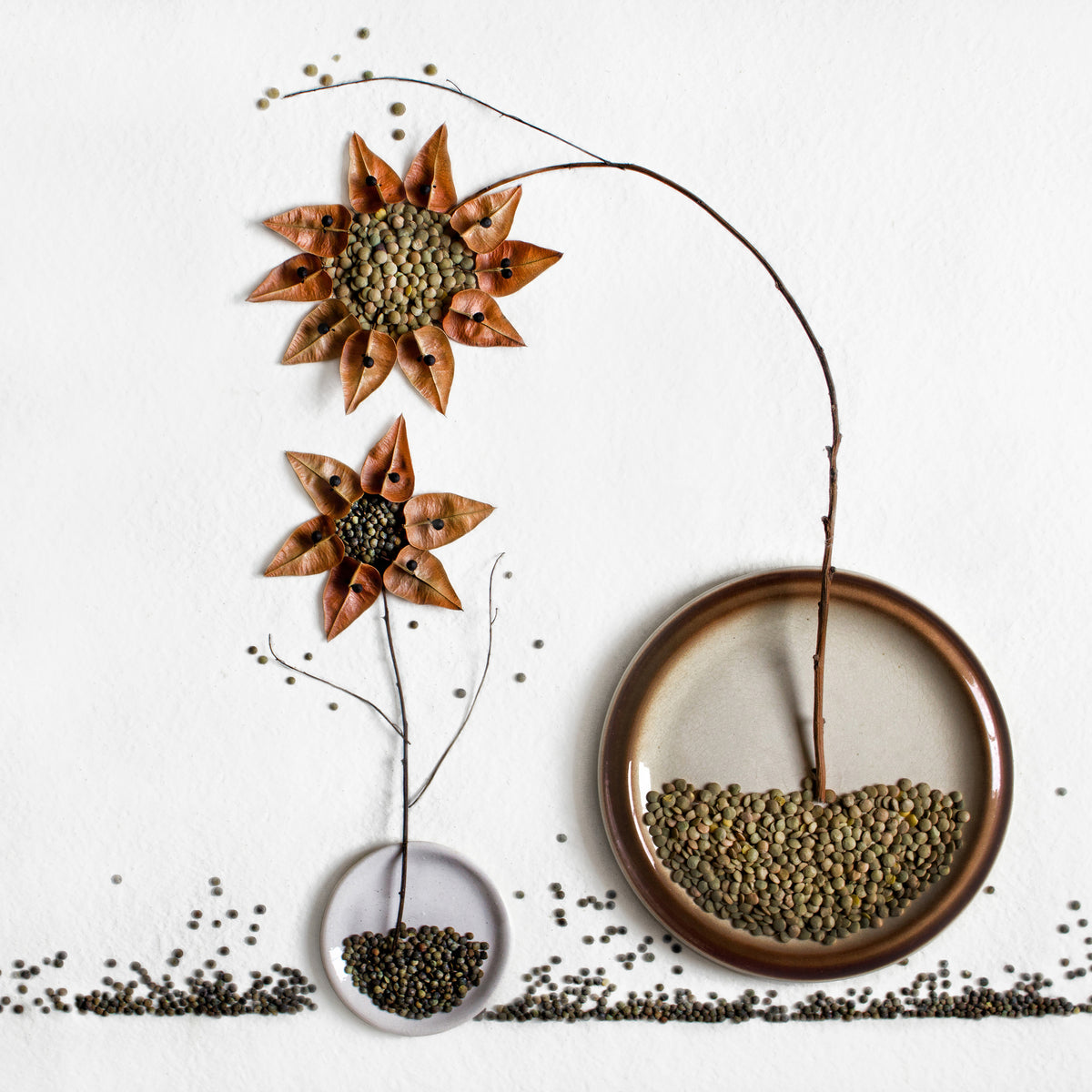 9-piece-acrylic-print-herbarium