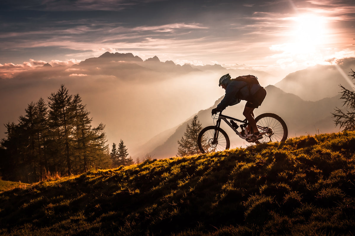 canvas-print-golden-hour-biking-x