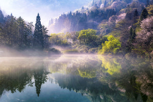 framedcanvas-print-morning-calm