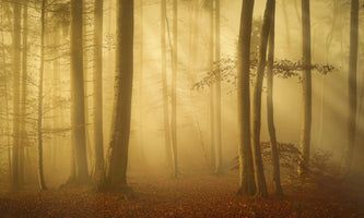 acrylic-print-after-sunrise
