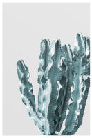 framedcanvas-print-cactus-elegance