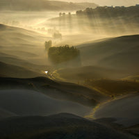 canvas-print-quotsilent-morningquot