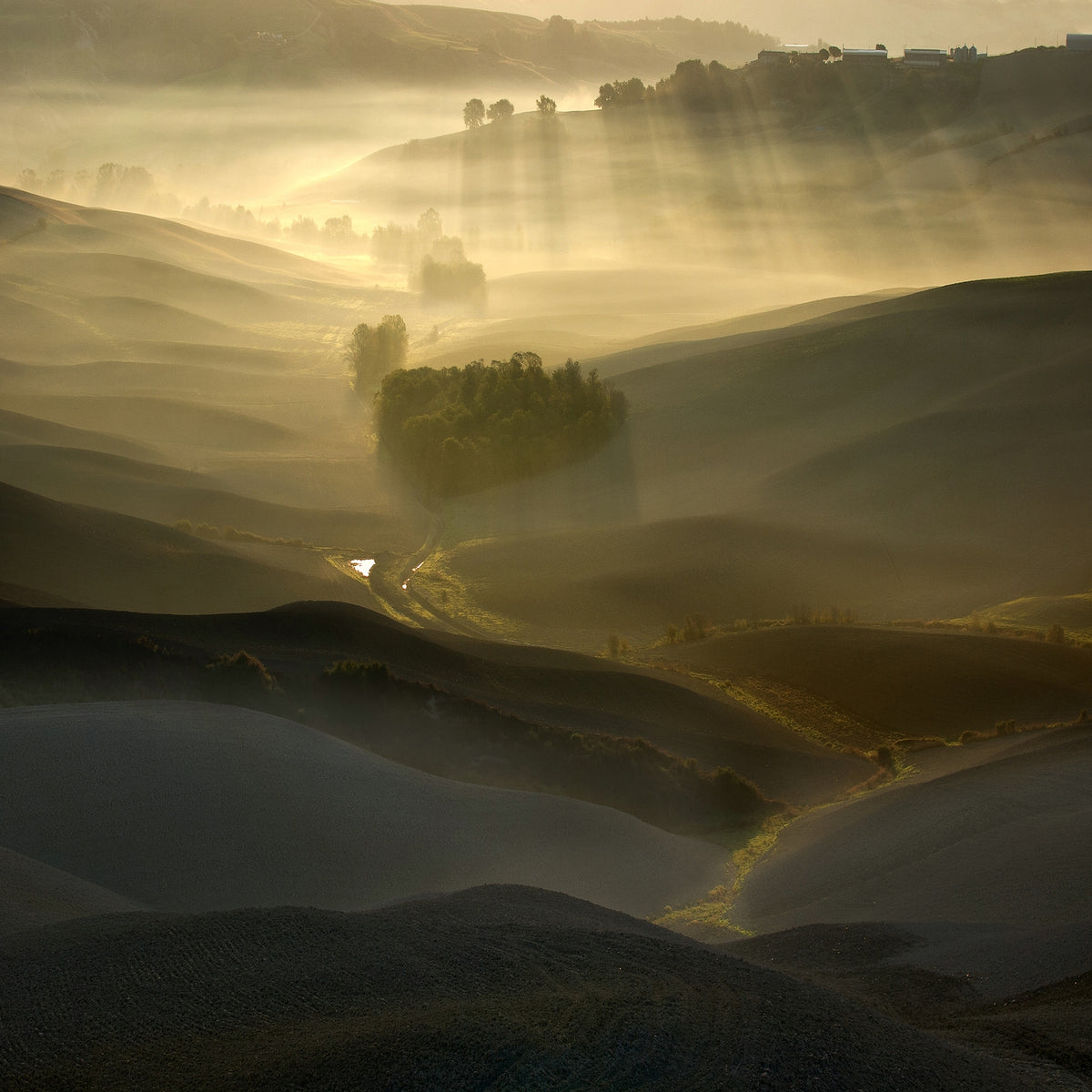 canvas-print-quotsilent-morningquot